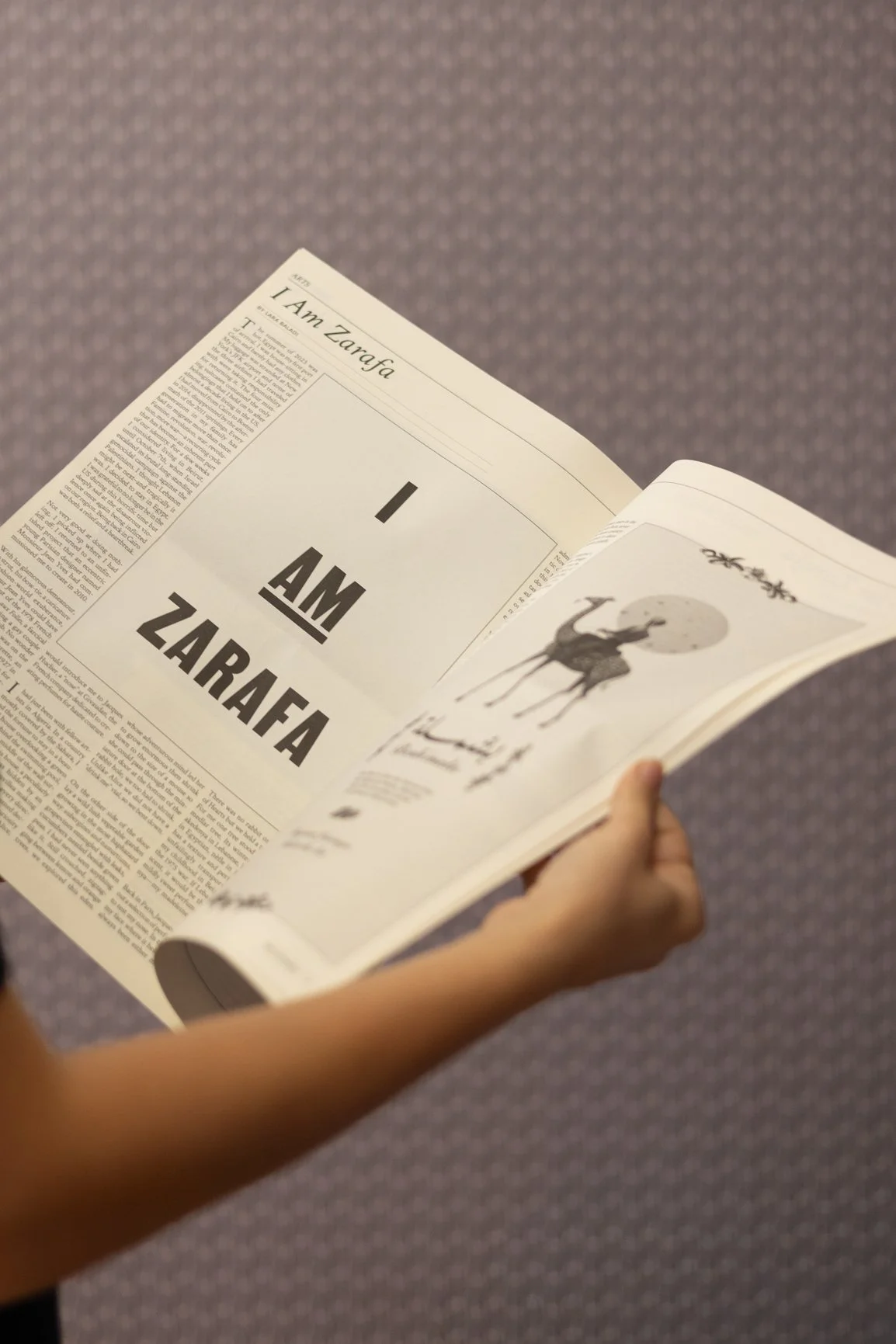 CMOP7280.jpg