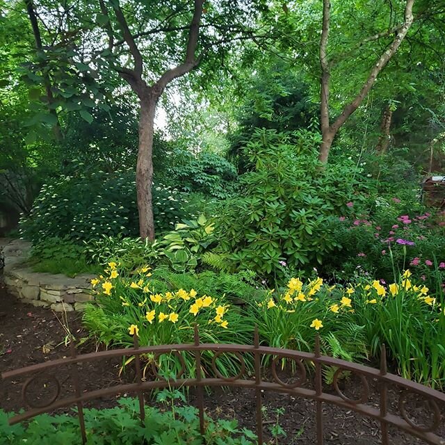 I dont live anywhere near the woods but this corner of my property has so many trees (we overplanted) that i call this the woodland garden.  I am considering taking down a Redbud.  It is such a big light blocker.  Gorgeous, but i always warn people a