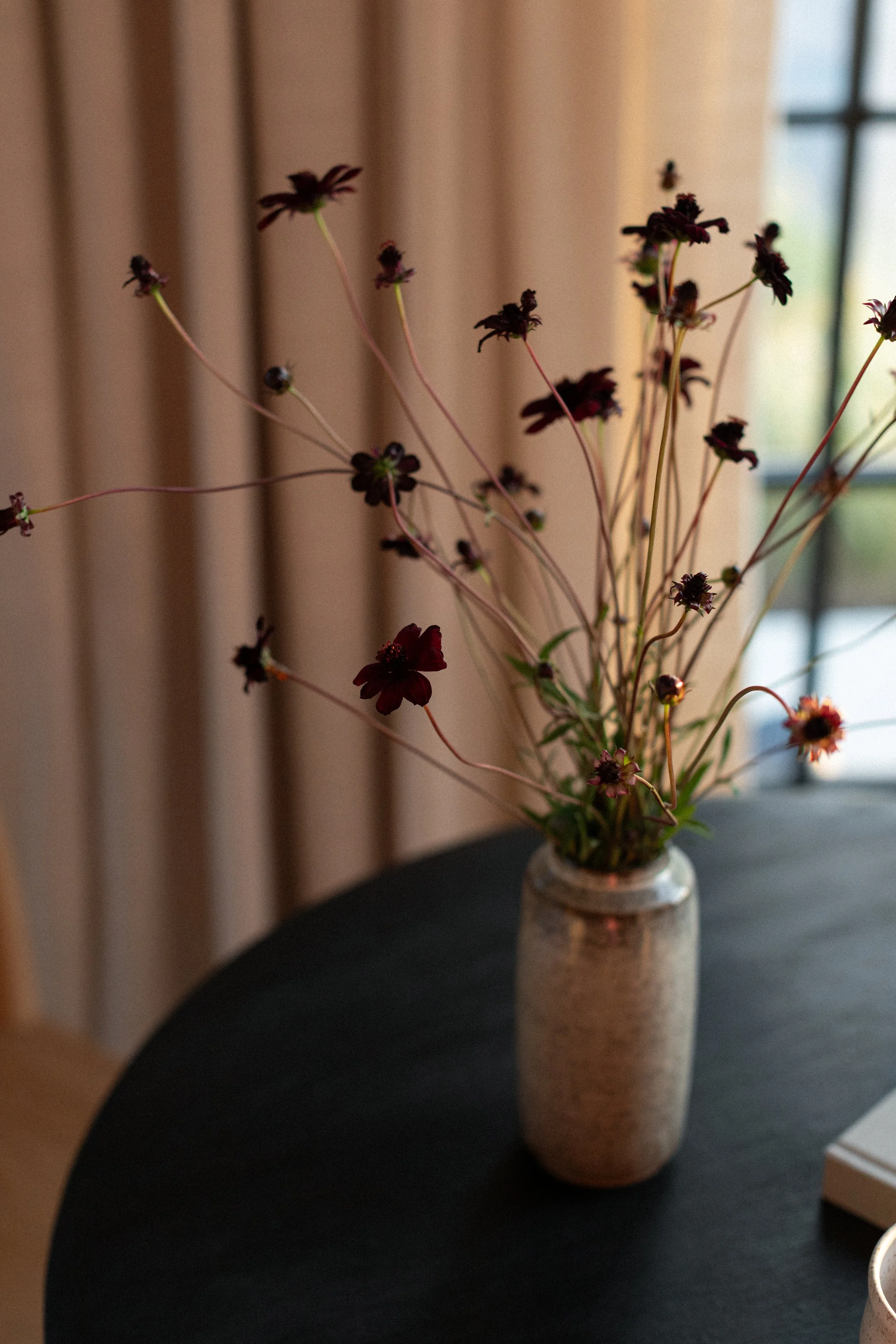 SHDC_Nantucket_AimeeMazzenga096.jpg