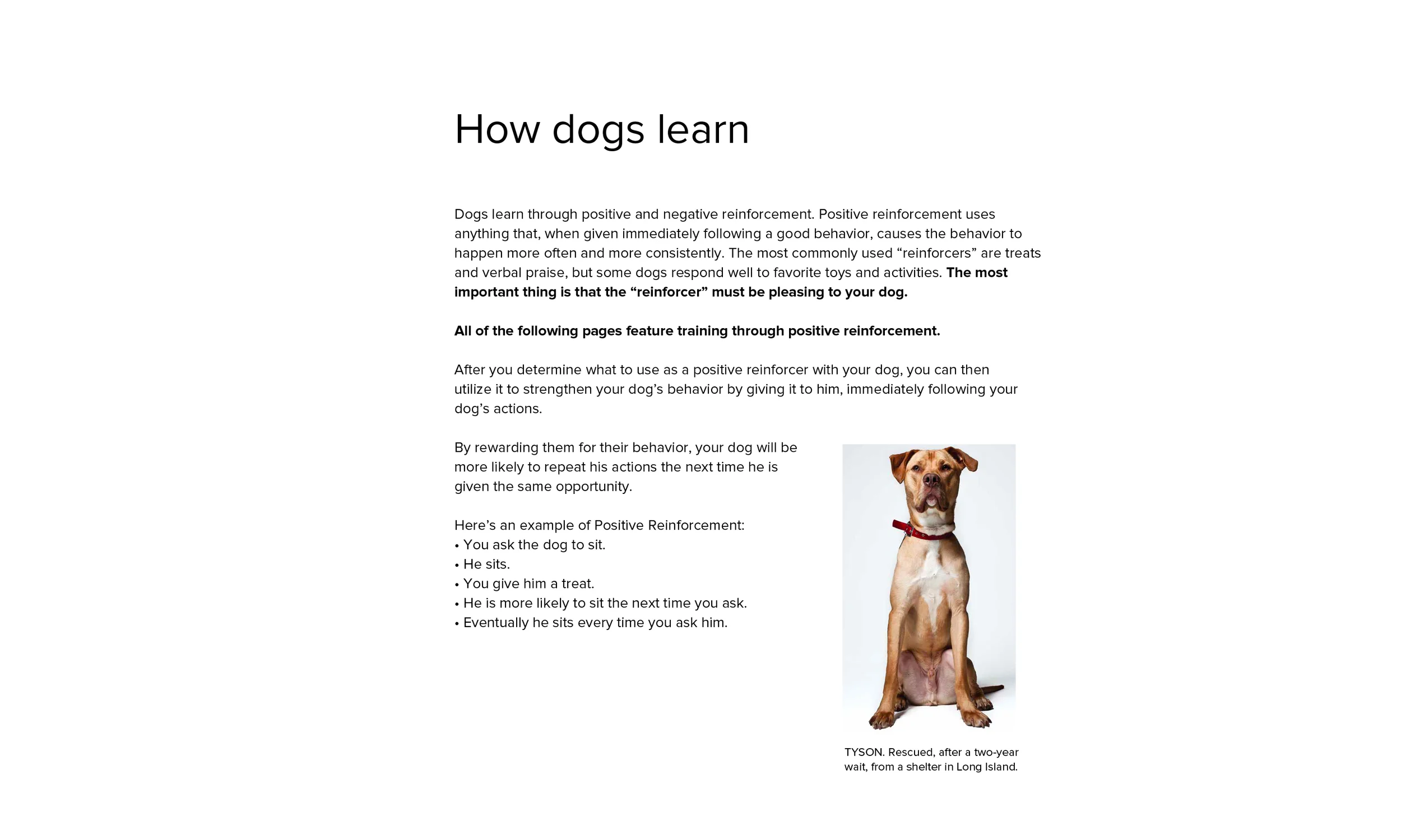 Train-a-Bull_how_dogs_learn.jpg