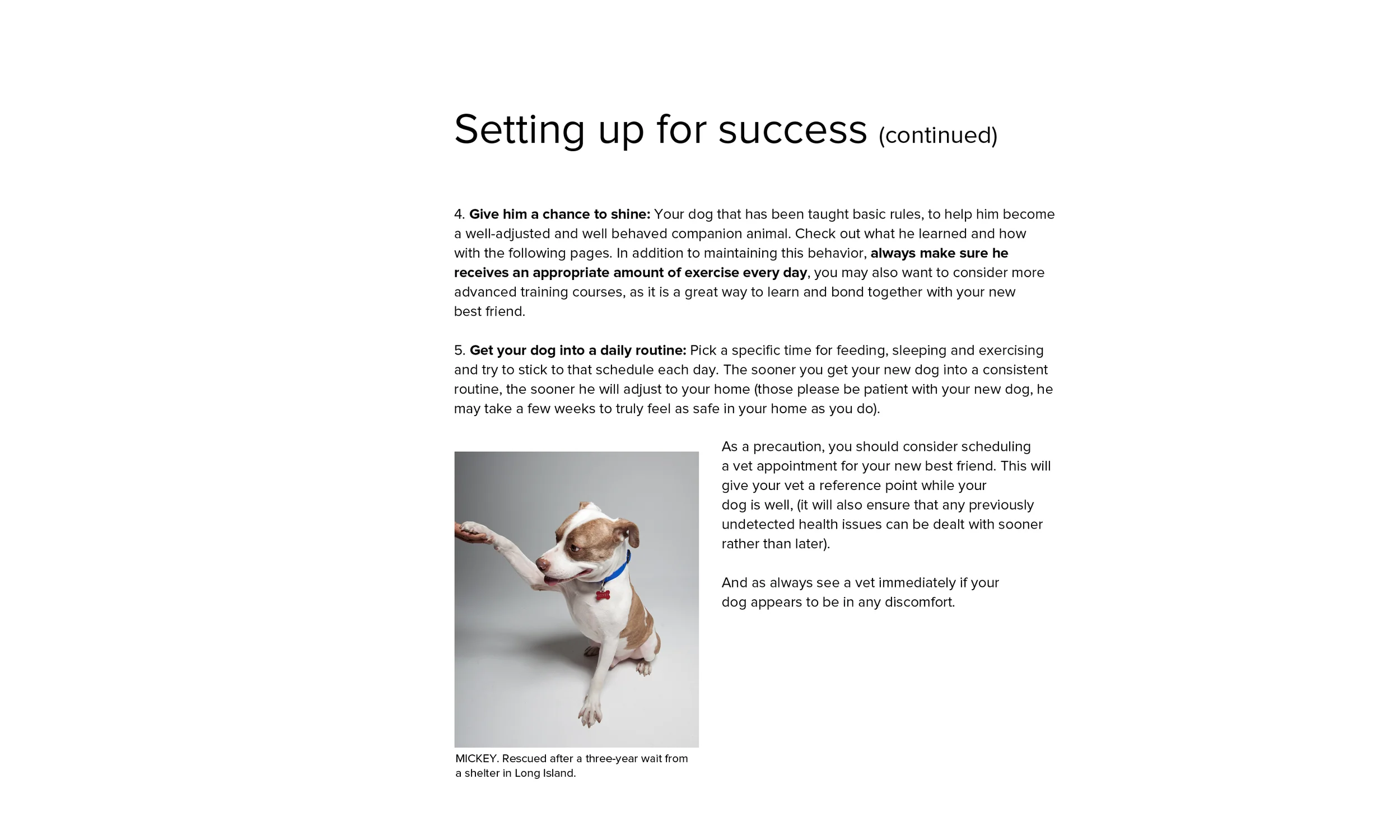 Train-a-Bull_set_up_cont.jpg