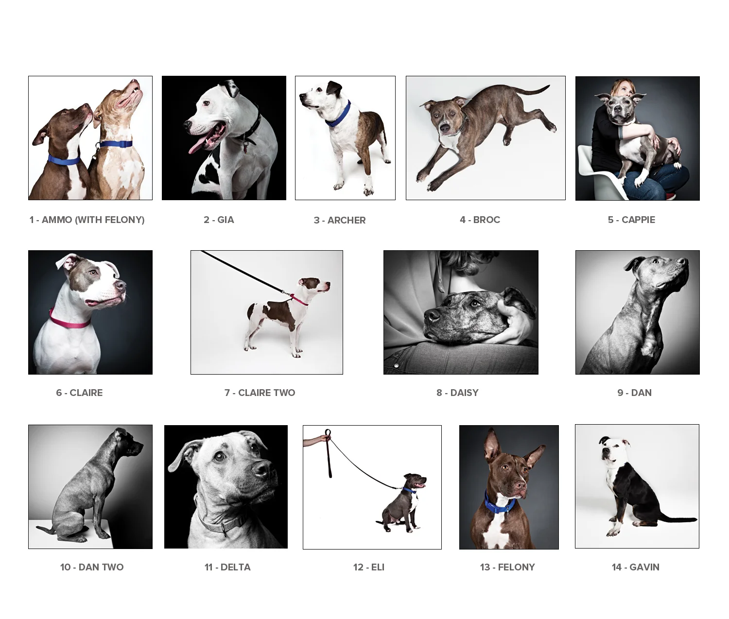 Image_sheet_text_1.jpg