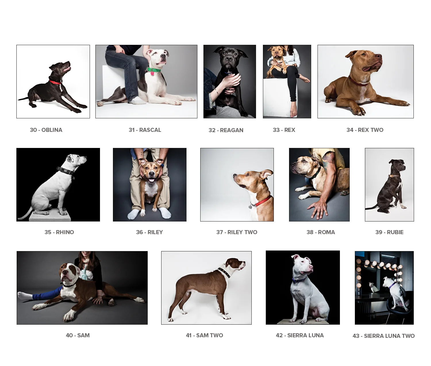 Image_sheet_text_3.jpg