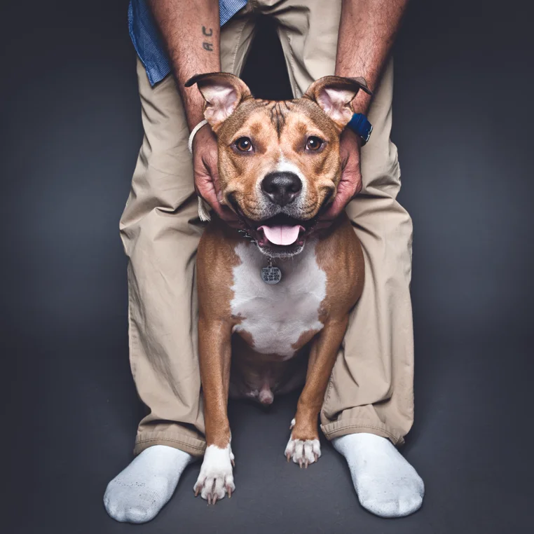 RILEY. Rescued from a shelter in Long Island after being left tied to a pole in a local park.