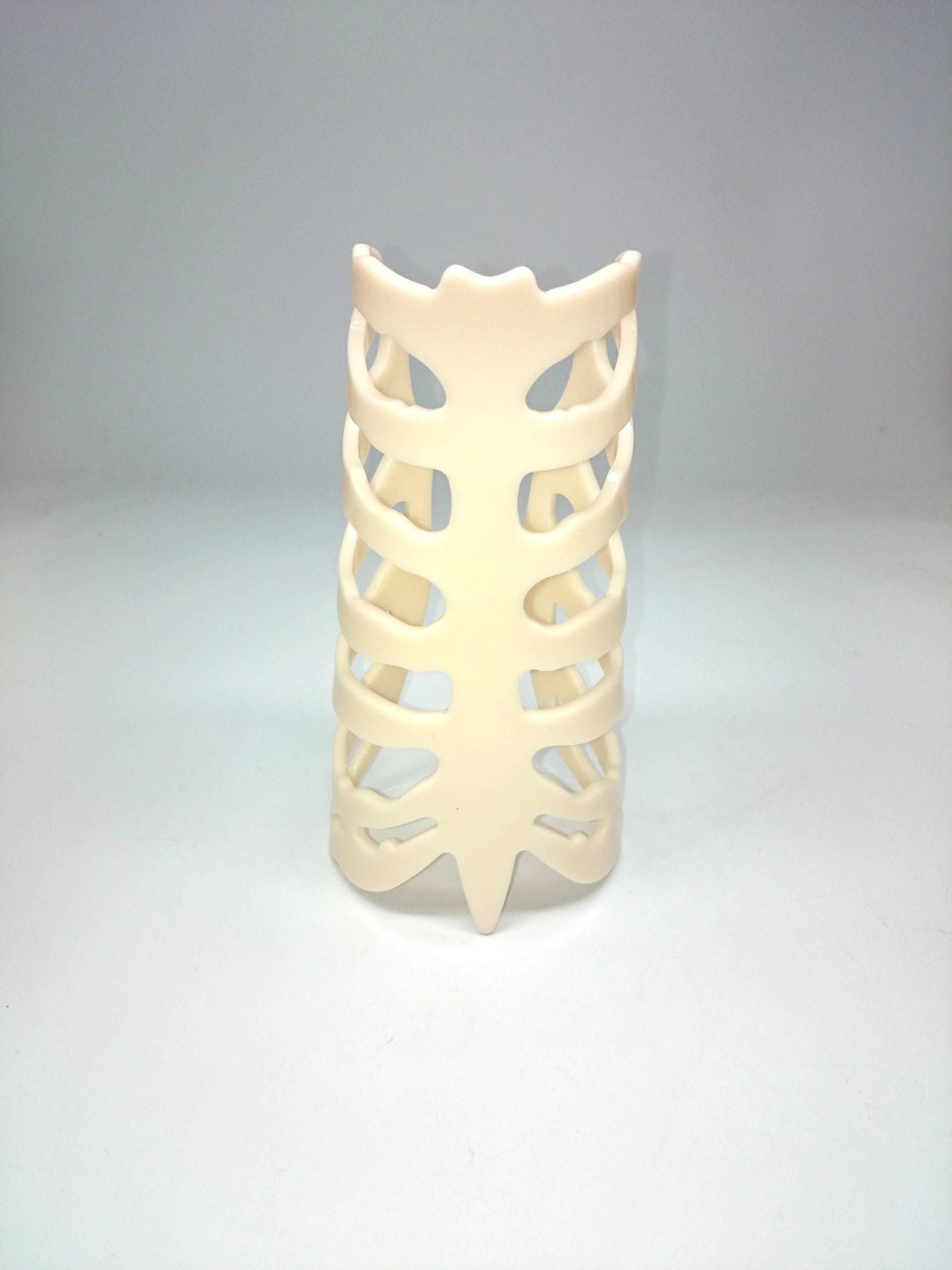 Vertebrae_matte Milk.JPG