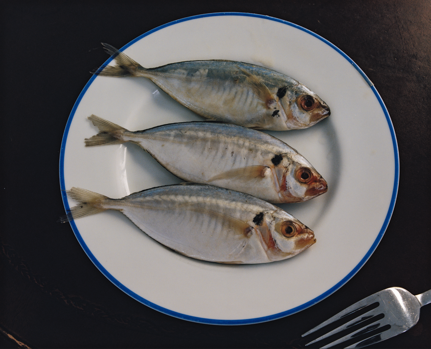 Screenshot 2026-04-09 at 12.59.23 PM.png