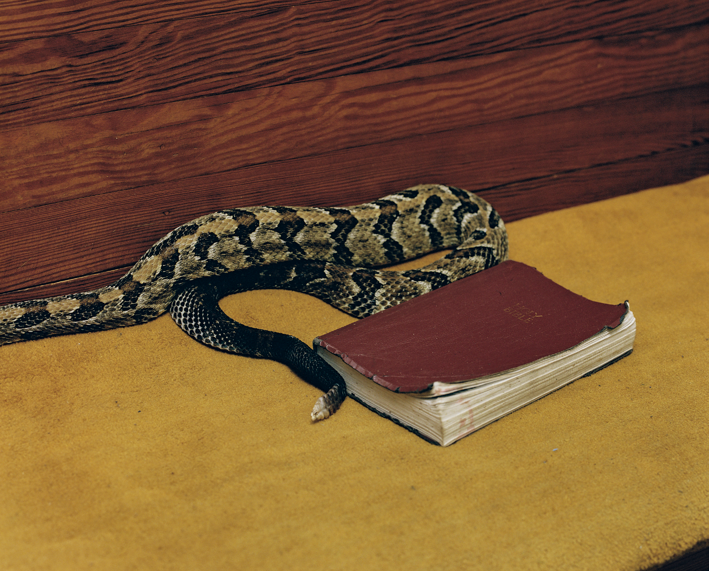 Screenshot 2026-04-09 at 1.02.31 PM.png