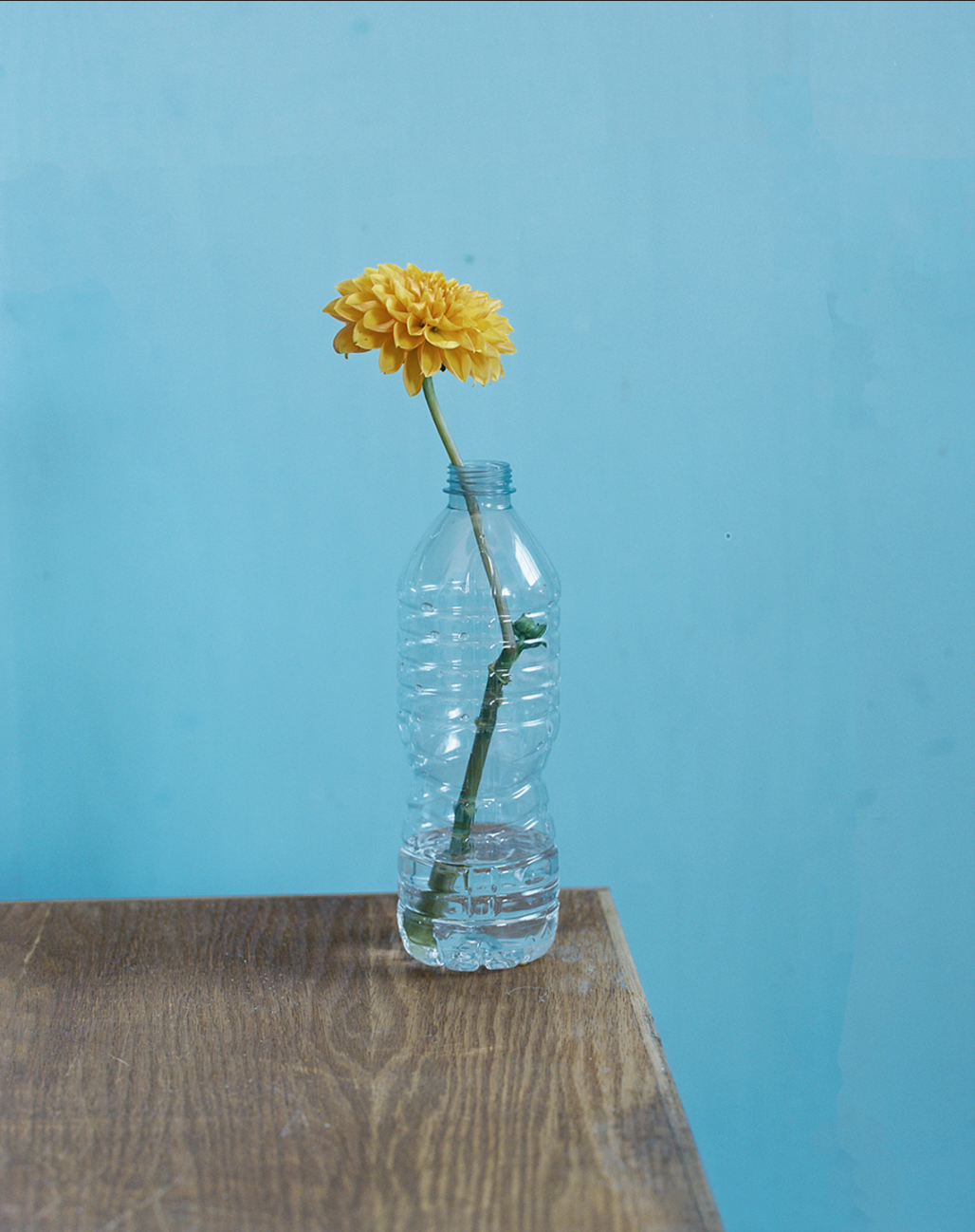 Screenshot 2026-04-09 at 1.18.59 PM.png