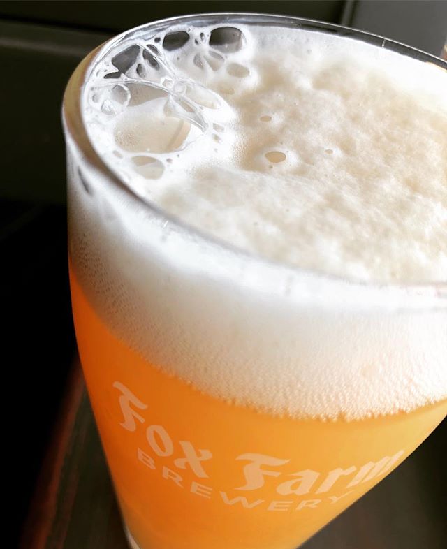 drinking fresh Verdant IPA from our goons @foxfarmbeer #drinklocal #farmtopint #ipa #craftbeer #getinmybelly