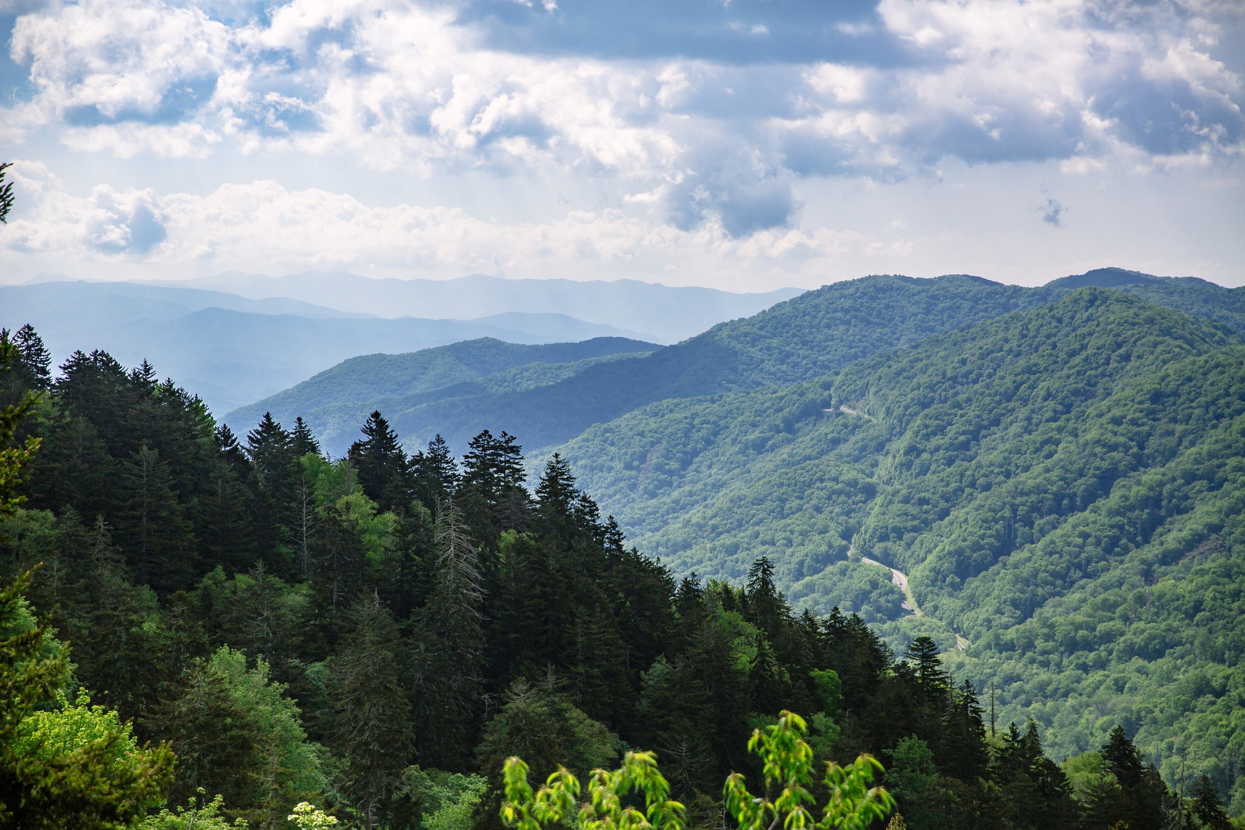 _MG_7823.jpg