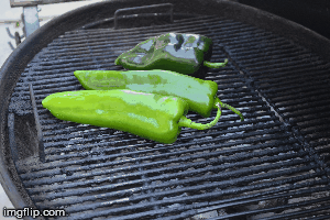 Green Chile Cheeseburgers