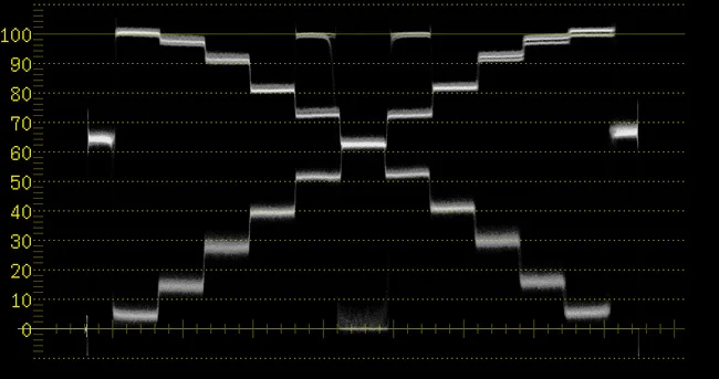 10knee100sp99w.jpg