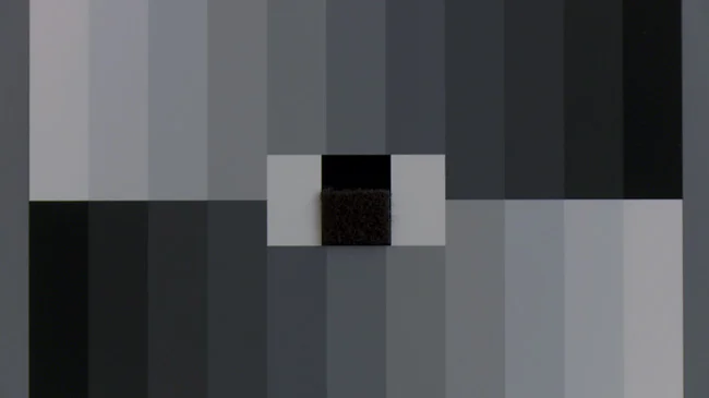 match1.jpg
