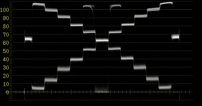 11knee100s-99w.jpg