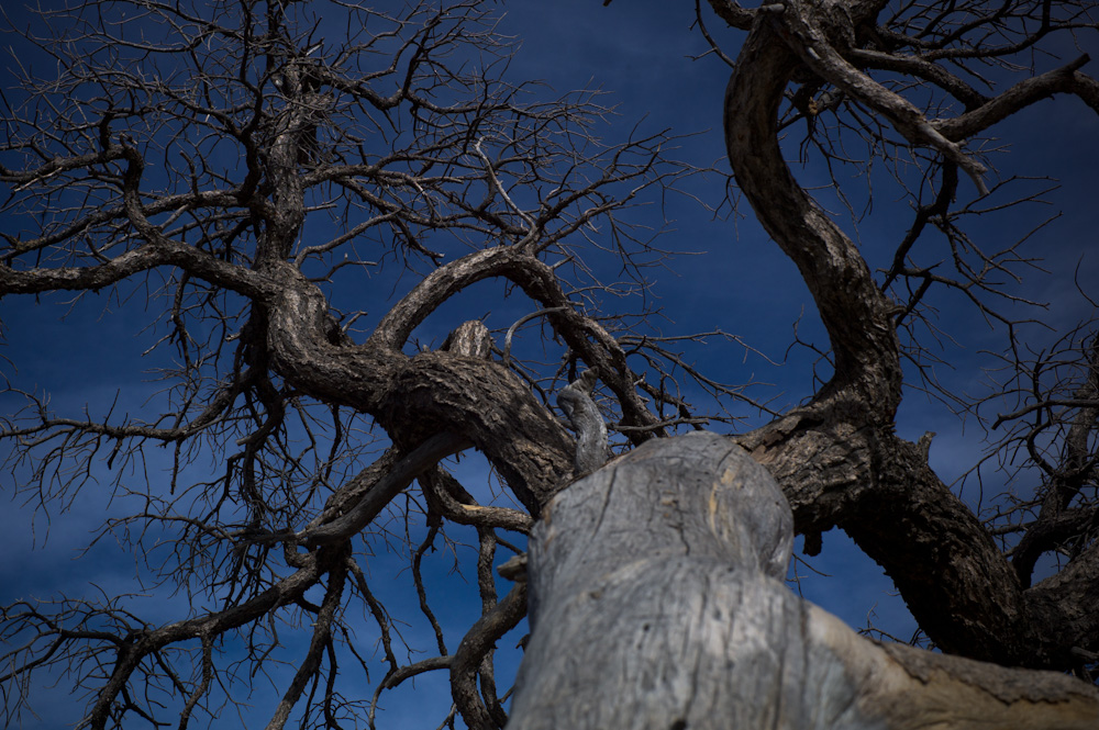 L1000854.jpg