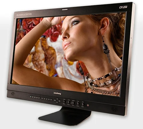 FSI CM250 OLED Monitor