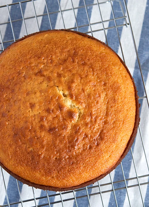 french-yogurt-cake-1