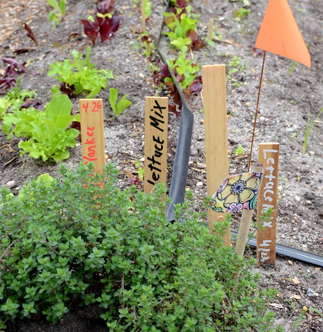 battery-urban-farm-1