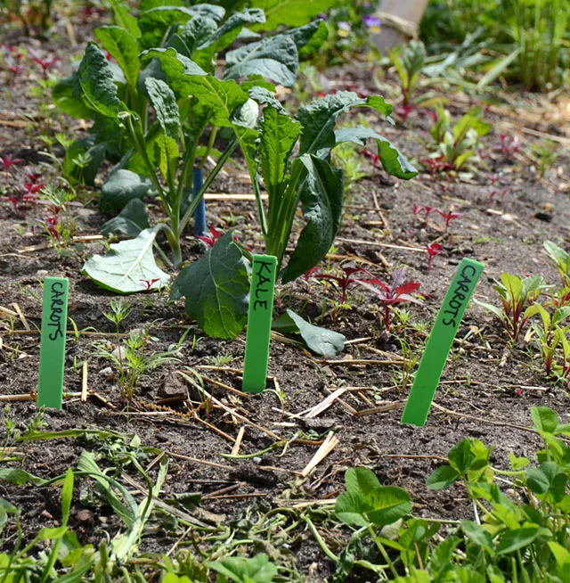 battery-urban-farm-3