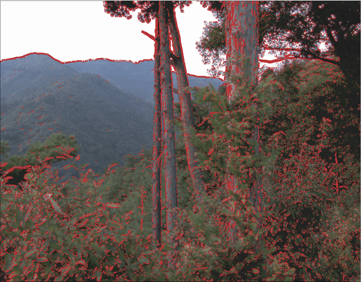 Red lines denote oriented edges in a natural scene