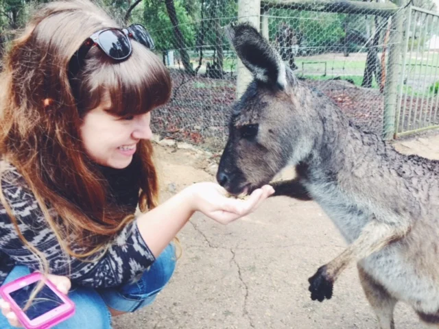 Emily Hunt feeding a Kangaroo