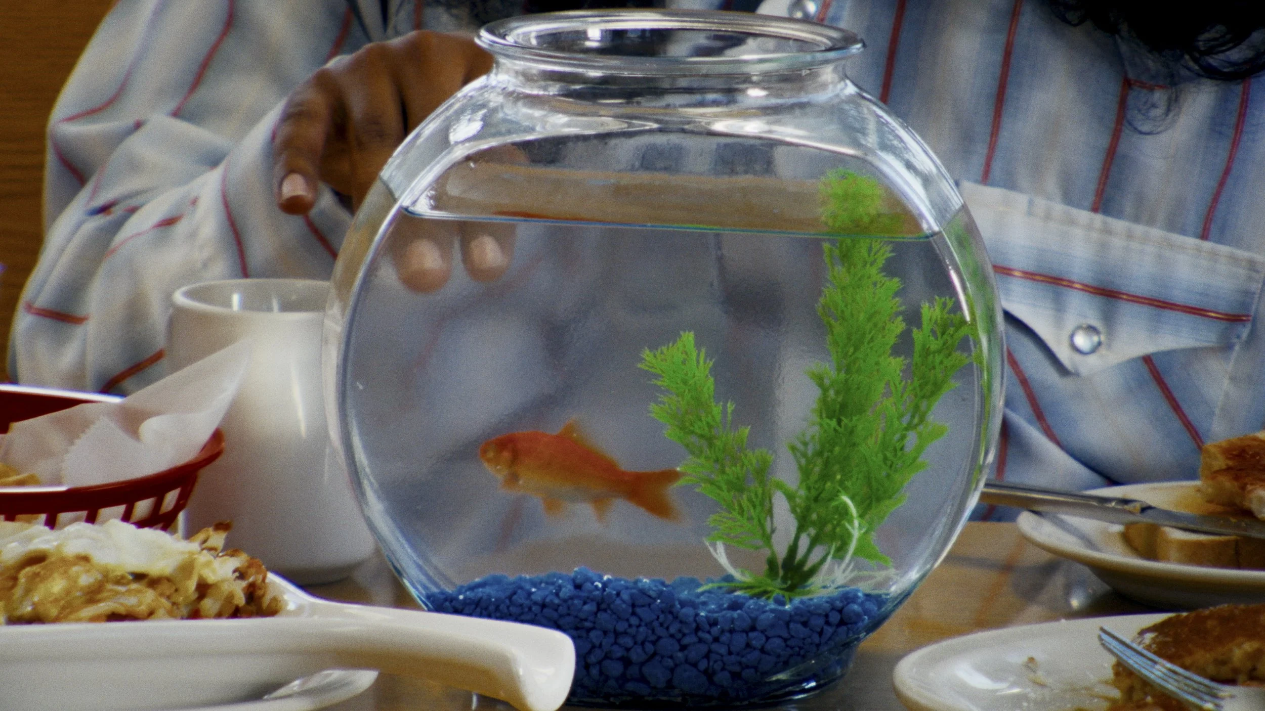 007_BOB00196.JPG