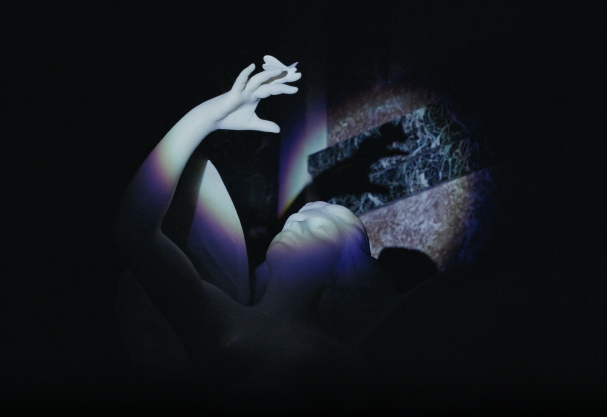 Screenshot 2024-12-19 at 2.56.31 PM.png