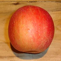 everCrisp.jpg