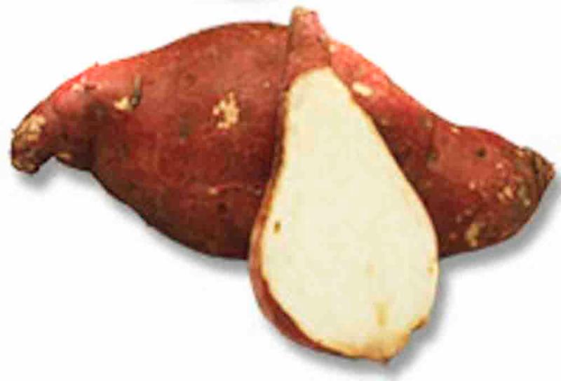 Boniato