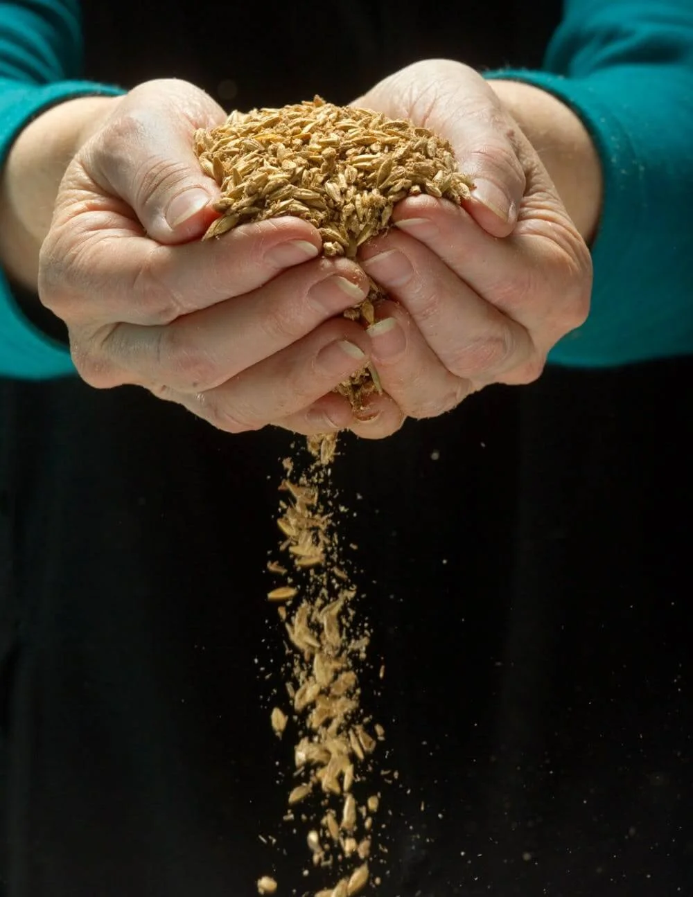 Dr. Peggy Lemaux, holding seeds from the hypoallergenic wheat she helped develop with genetic engineering. James Block, CC BY-SA