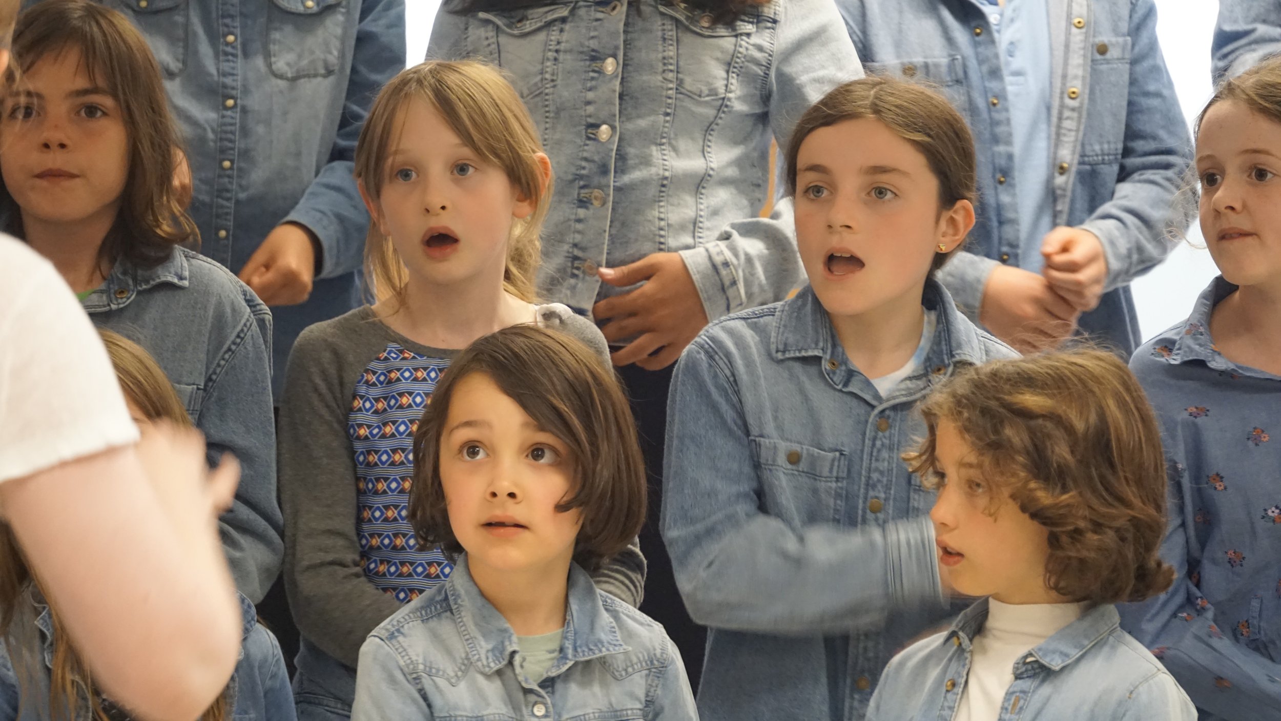 Blackrock Library Singers