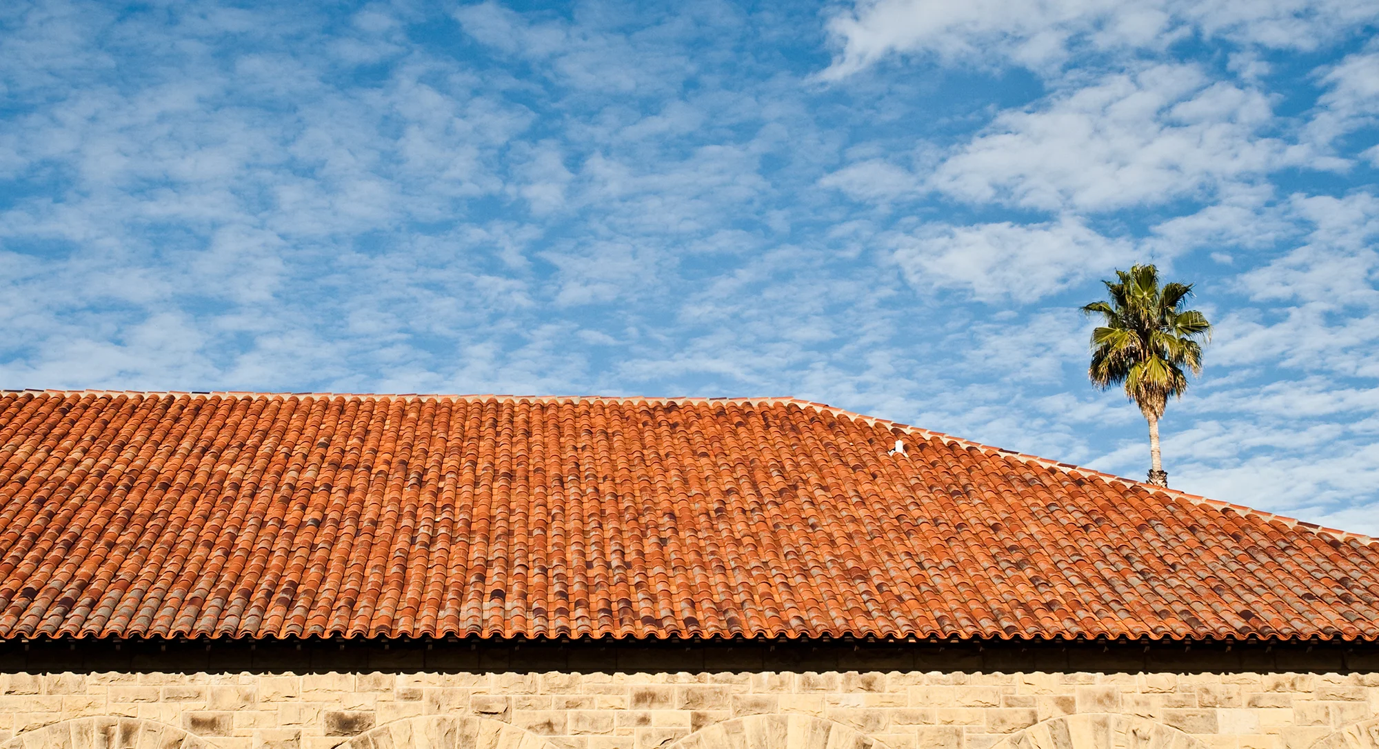 RedTilesandPalmTrees.jpg