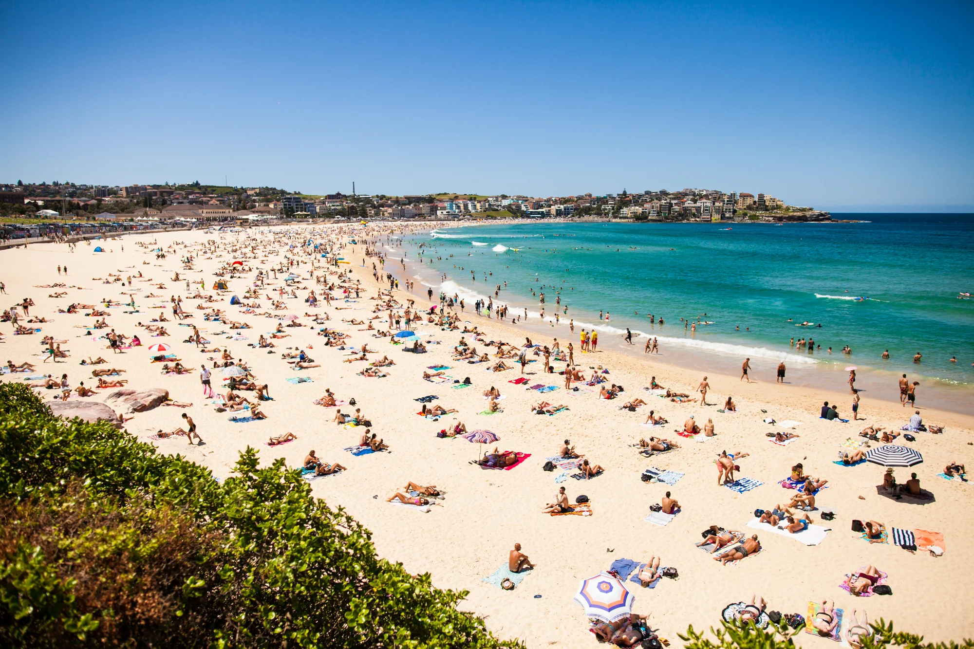 BondiBeach_2000px.jpg