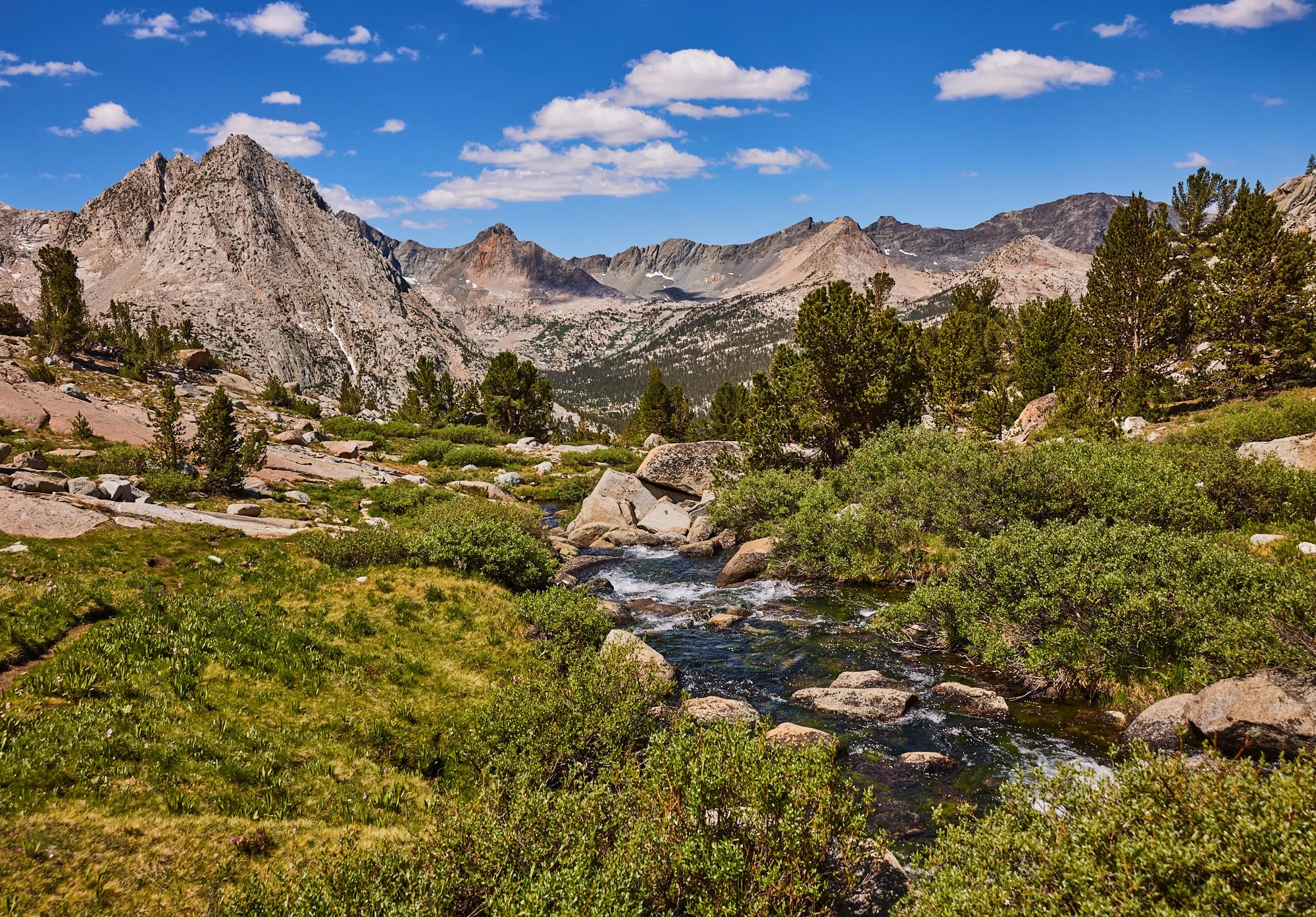 CreekIsland2021 35.jpg