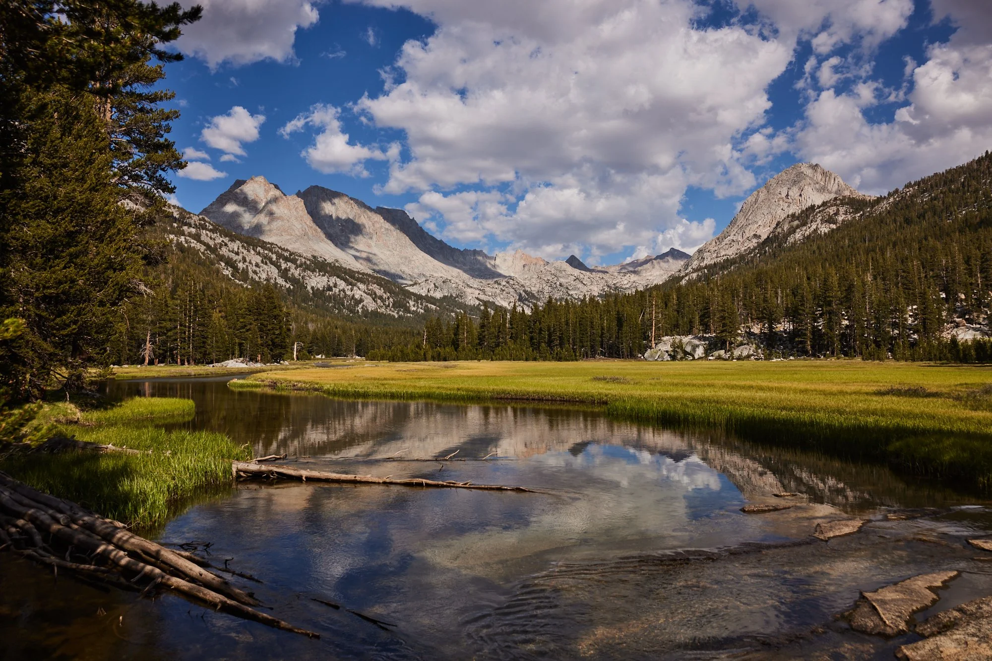 CreekIsland2021 34.jpg