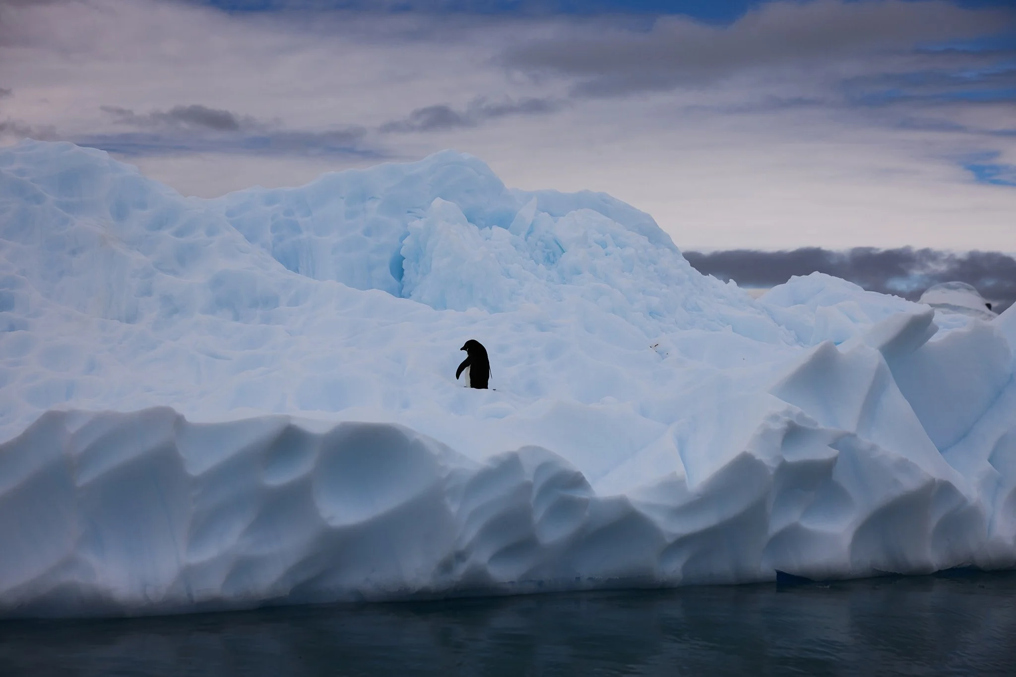 AntarticaRAW_12207.jpg