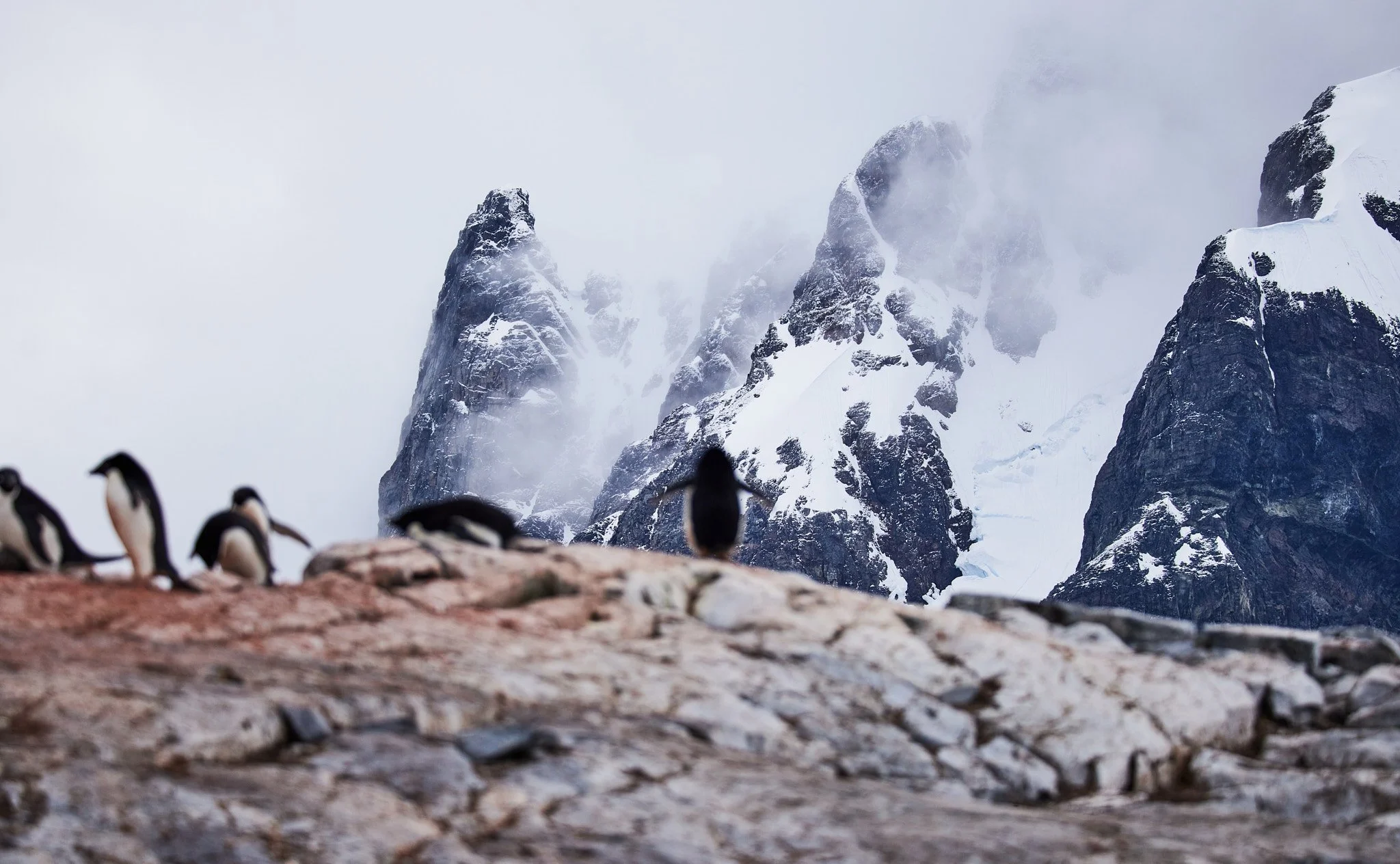 AntarticaRAW_11302.jpg