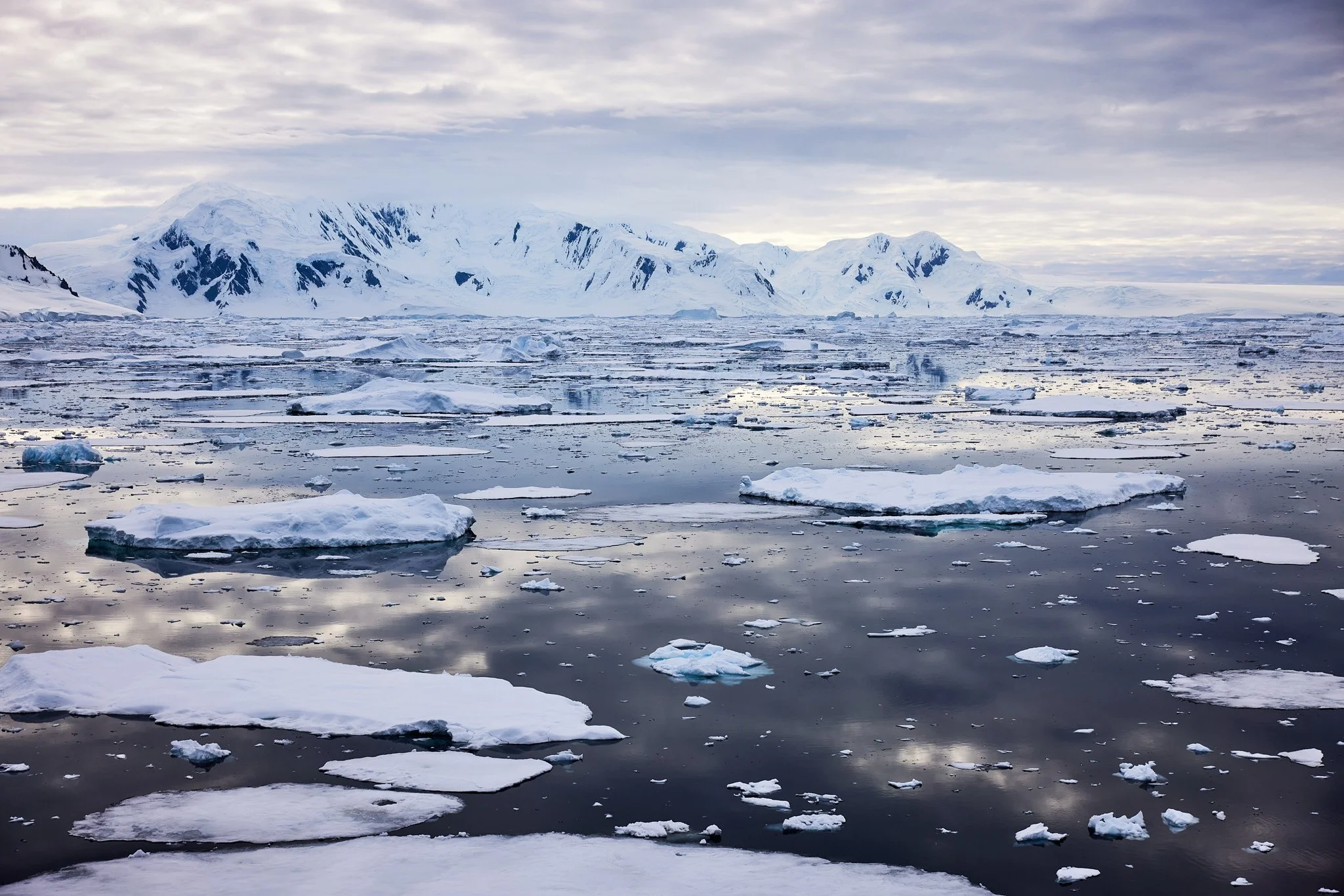 AntarticaRAW_10931.jpg