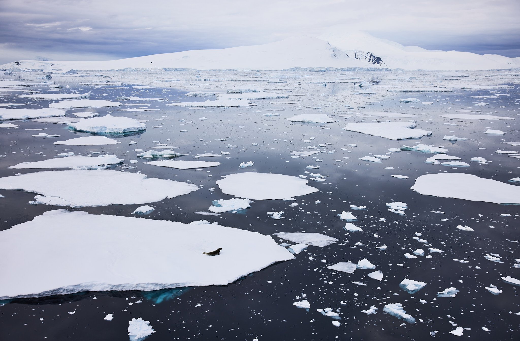 AntarticaRAW_10911.jpg