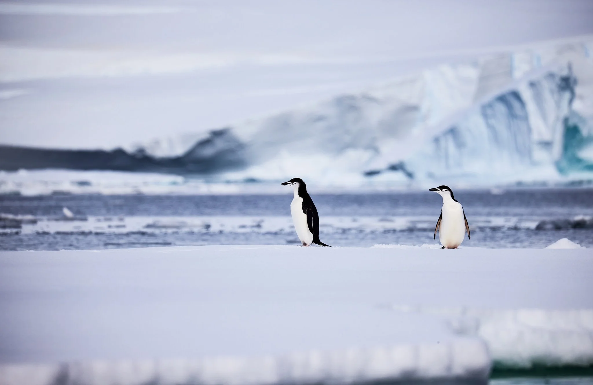 AntarticaRAW_10477.jpg