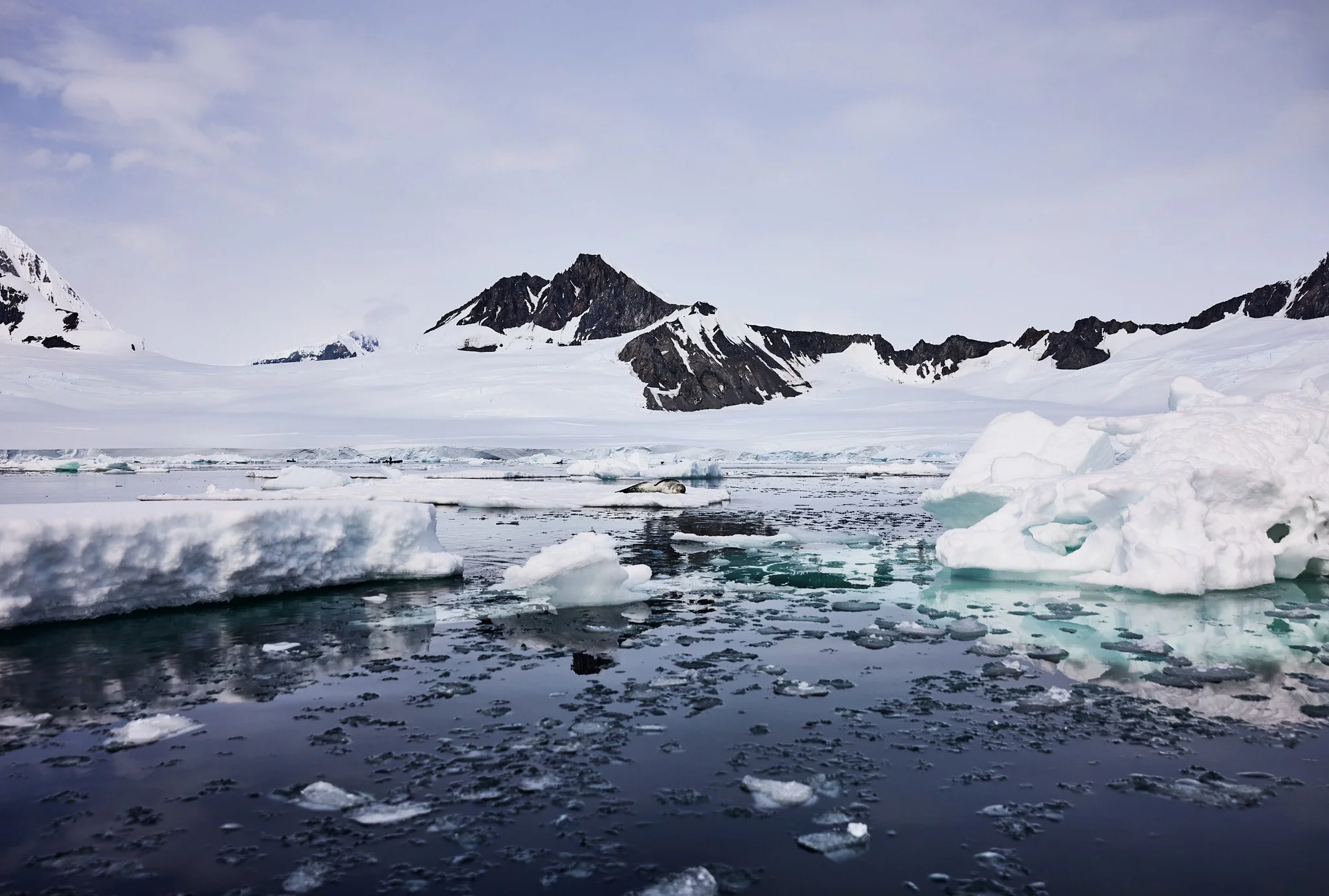 AntarticaRAW_10360.jpg