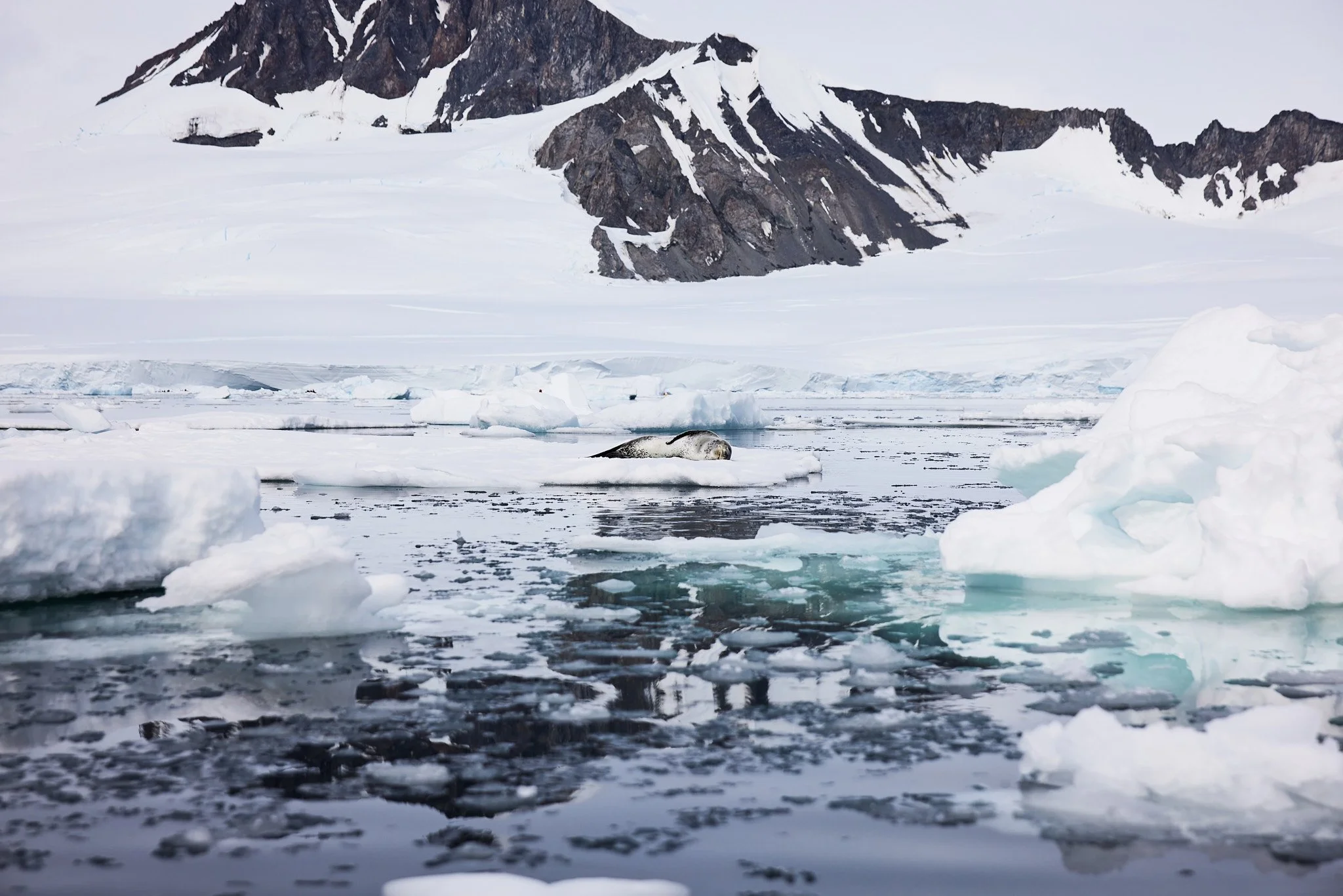 AntarticaRAW_10342.jpg