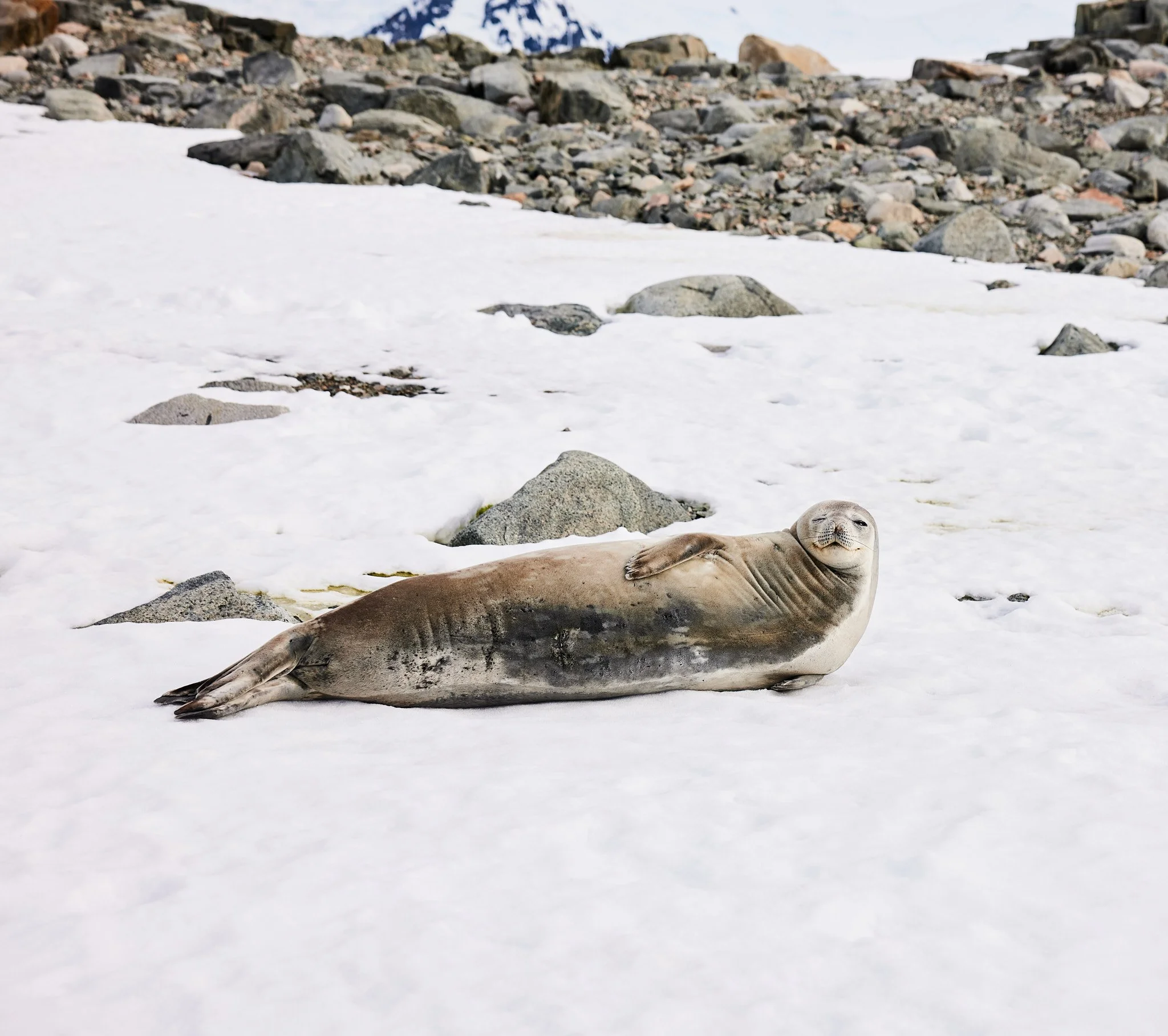 AntarticaRAW_10141.jpg