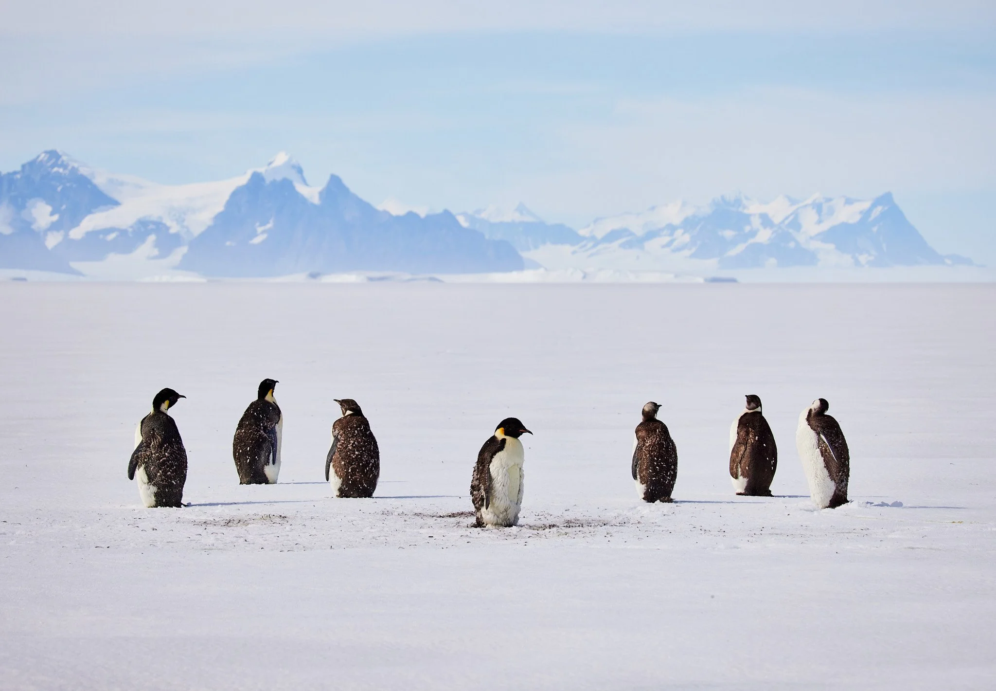 AntarticaRAW_9304.jpg