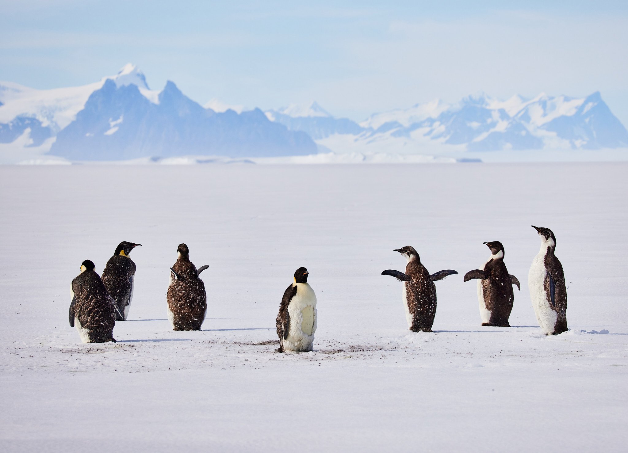 AntarticaRAW_9296.jpg
