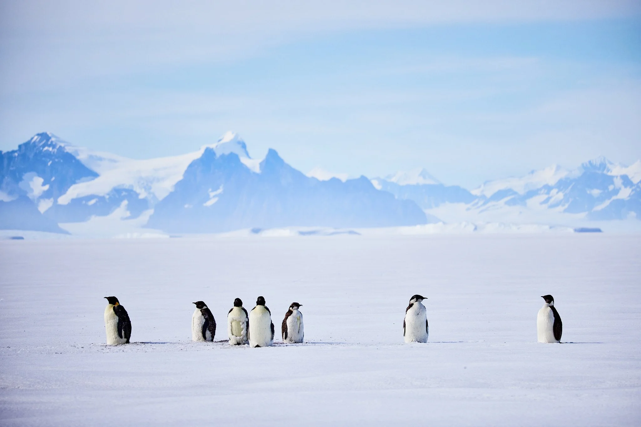 AntarticaRAW_9168.jpg