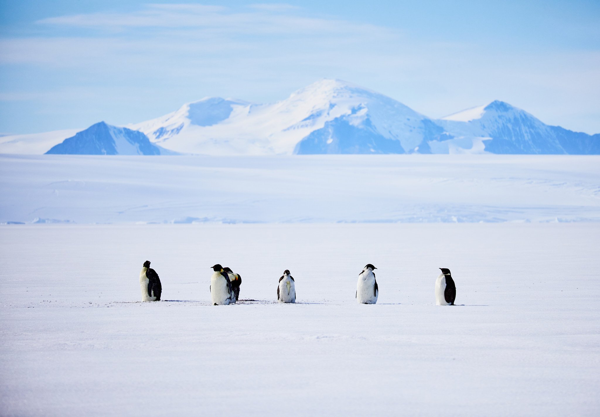 AntarticaRAW_9142.jpg