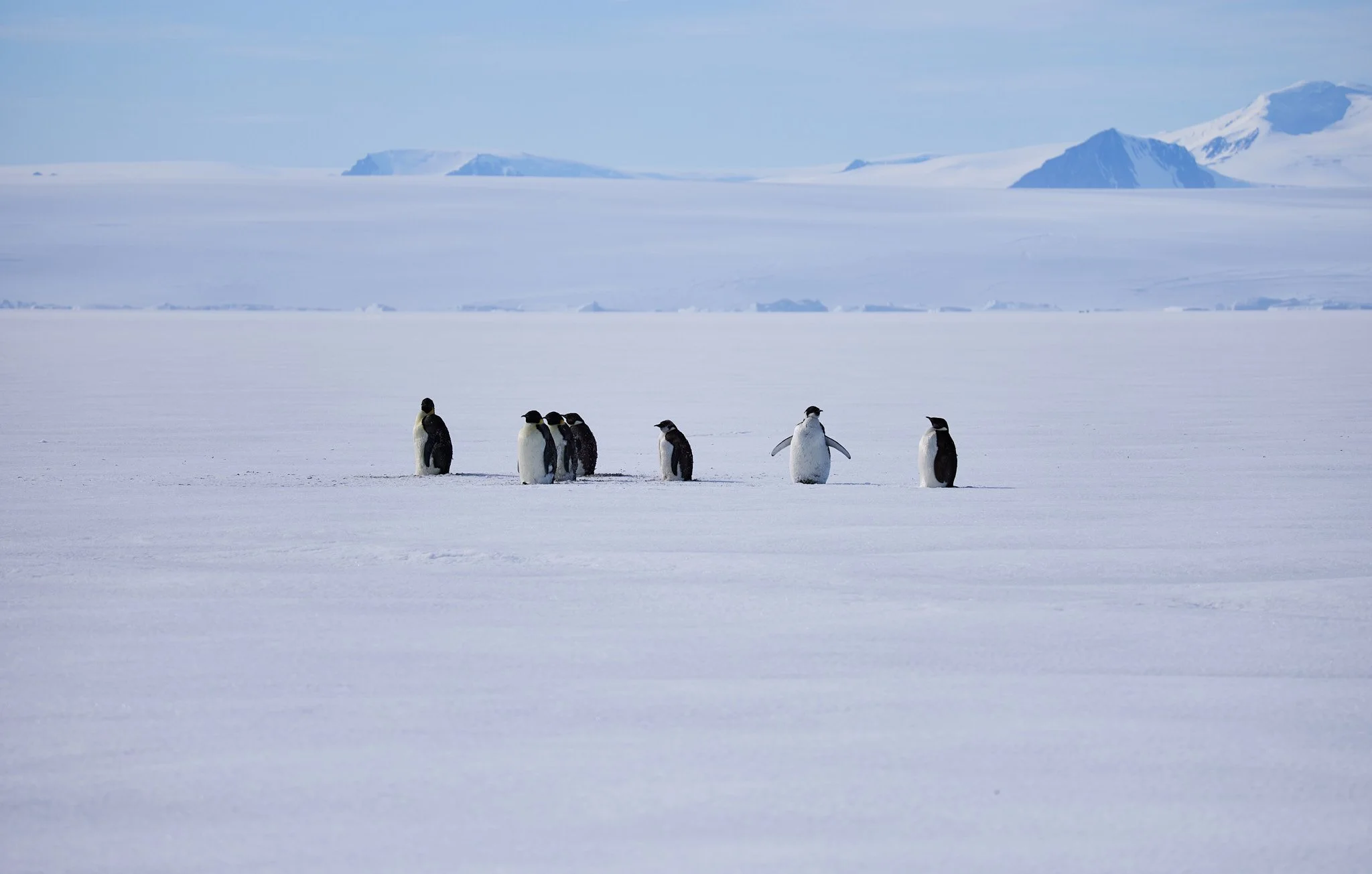 AntarticaRAW_9083.jpg