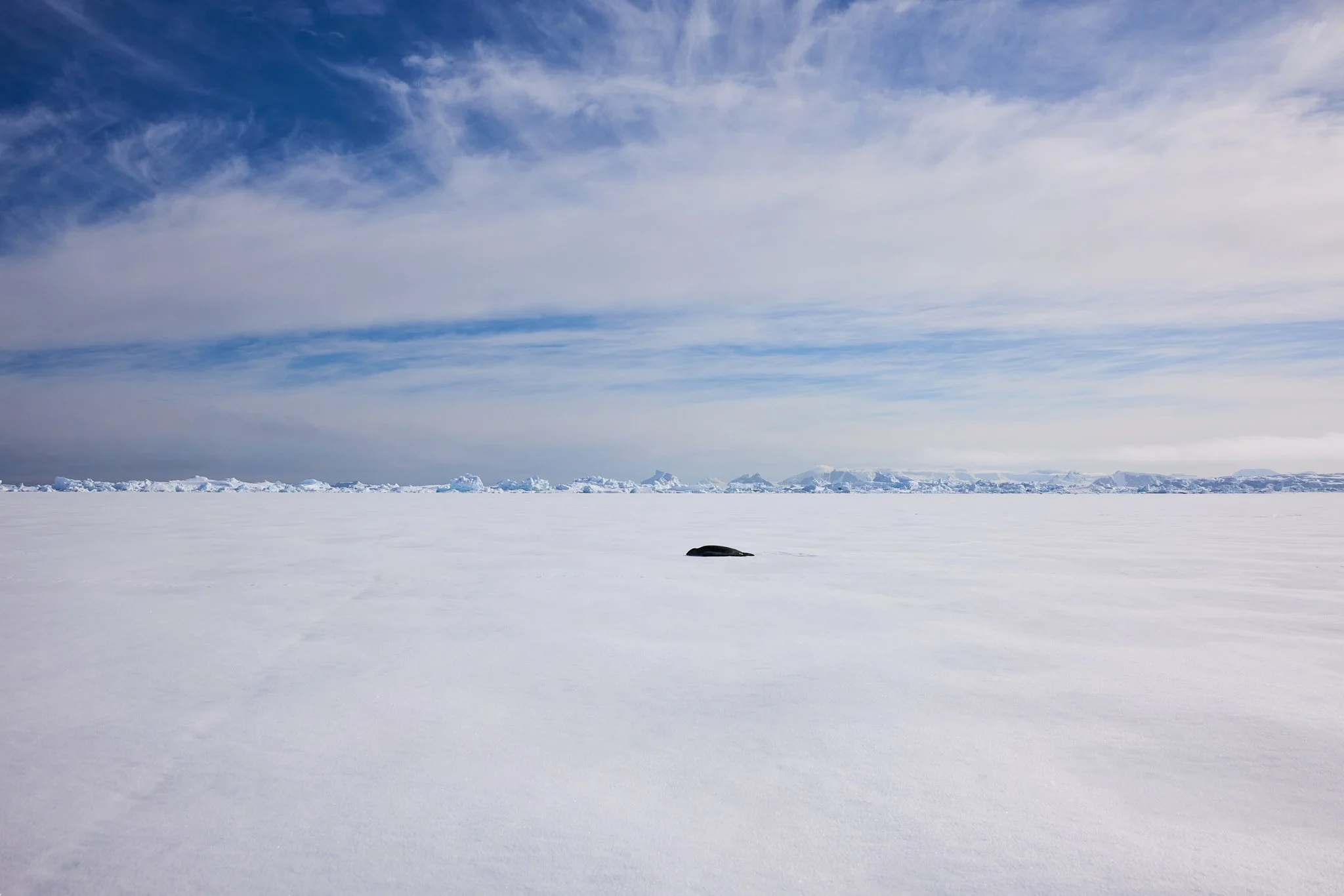 AntarticaRAW_9055.jpg
