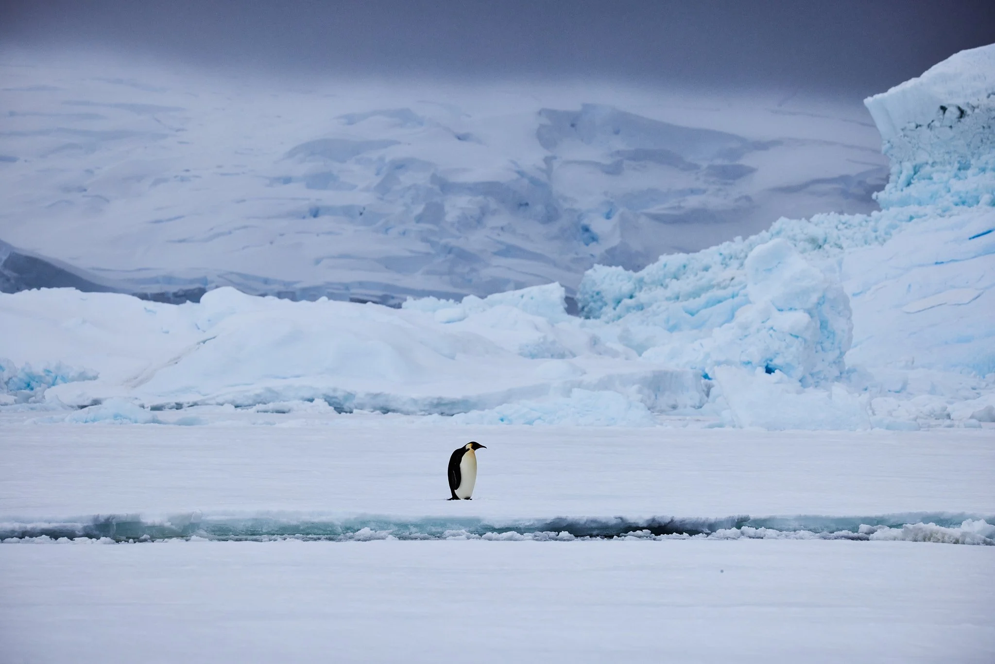 AntarticaRAW_8503.jpg